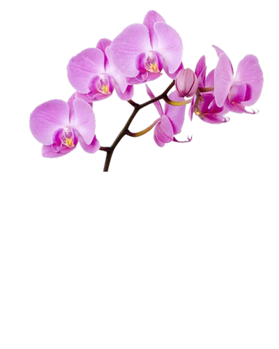 济南墓型价格大全